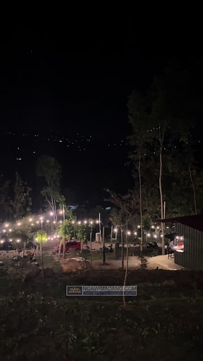 Argotentrem Sidney ☕️🍃🍃🍃