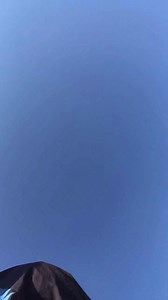 27 reactions · 3 comments | Tá na hora 﫶 | Panda Blue O Malandro da IceBlack | Facebook