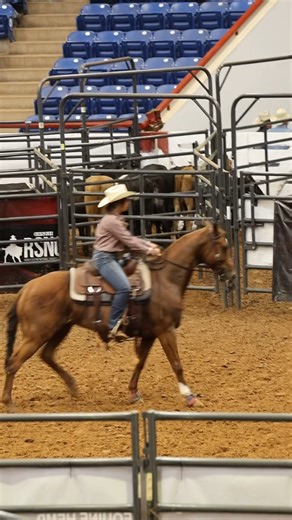 15K views · 197 reactions | We're heading into 2025 fired up for great events, with great people, great horses, and great cattle. 퐋퐞퐭'퐬 퐆퐎.  | Ranch Sorting National Championships (RSNC) | Facebook