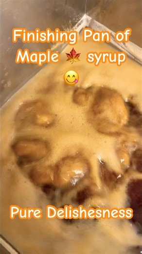Sweet maple goodness 👍🏼 boiling finishing pan #fun #maple #syrup #yummy #delicious #finishing #pan