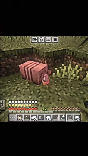 you know this animal in Minecraft #minecraft #shorts