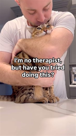 Mickey and Mort on Instagram: "Have you tried hugging your cat?? 🤗"