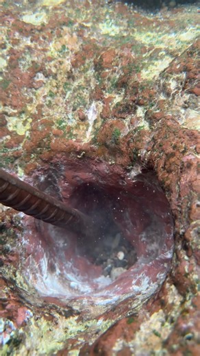 a rare hole that you never find because it contains mang surprises!