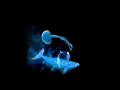 홀로그램 드론, 홍보 드론, 광고 드론, 3D 영상_동물 모음2