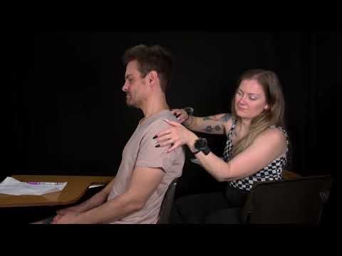 She Won't Stop Scratching Your Back in Class | ASMR No Talking