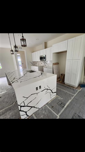 One Day LLC Luxury Kitchen & Bathroom Remodel with Quartz