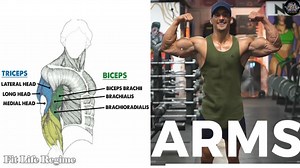 Biceps and Triceps Exercises Full Arms Workout