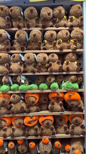 MINISO on Instagram: "Who wouldn’t want an adorable Capybara plush?! They have so many to choose from at Miniso! These cutes are super soft and so huggable! Store tour from @sailor_bratzilla #miniso #minisobara #MinisoAmericanDream #minisoplush #capybara #plush"