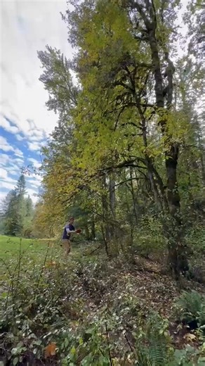 7.3K views · 46 reactions | Estacada is one of the best disc golf destinations in Oregon. Here’s why. https://www.mthoodterritory.com/articles/disc-golf-in-estacada | Oregon's Mt Hood Territory | Facebook
