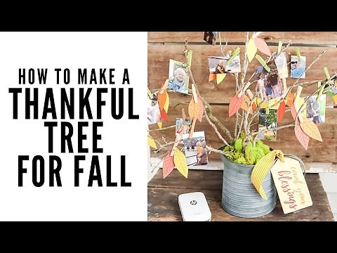 How to Make a Thankful Tree for Fall