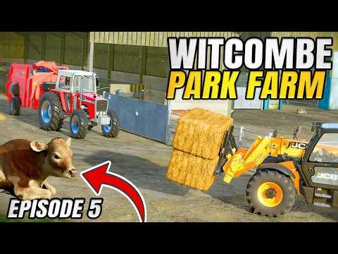 WHAT A DAY! WELCOME JERSEY AND HEREFORDS | Witcombe Park Farm Farming Simulator 25 - Episode 5