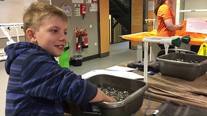 Eleven-year-old Ned, with Lisa Taylor from Mundipharma, demonstrating the cold pressor test (aka sticking your hand in a bowl of ice). It's used as a pain threshold test whilst testing pain killers. Ned got to eight on the pain scale! ** No young people were harmed in the filming of this video 😉 #scienceambass #cambridgesciencefestival #csf2018 Parkside Federation Academies | Cambridge Academy for Science & Technology