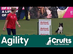 Agility Championship - Small/Medium Final | Crufts 2026