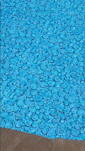 Cala Luna 🌊 PearlEssence® • LOOP-LOC® EXCLUSIVE LUXURY LINER #looploc #pool #backyard #swimmingpool