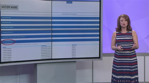 How to track your vote, make sure your ballot was counted