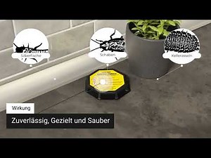 com-four® Köder-Dosen zur Bekämpfung von Ungeziefer: Schaben, Silberfischchen, Kellerasseln, Falle