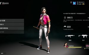 侠盗公司 Rogue Company 入门讲解