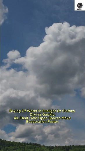 What is Evaporation? Simple Explanation with Everyday Examples!