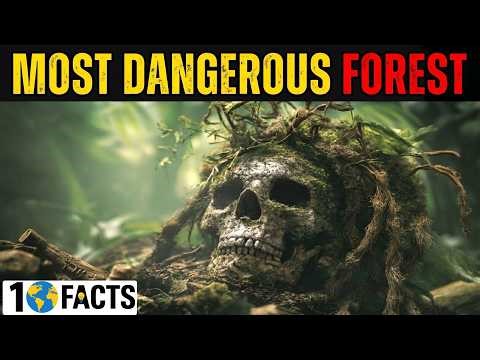 Top 10 Deadliest Forests on Earth: 1.5 Million Deaths & The Green Hell | 10 Facts