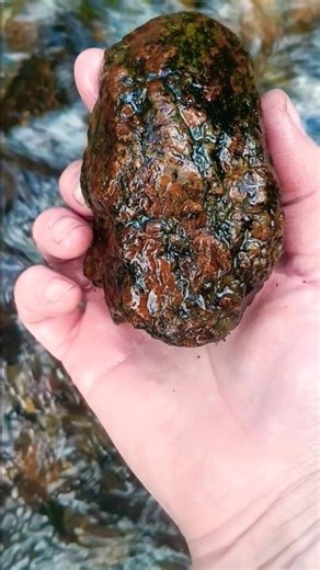 GRANITE - volcanic igneous rock formed by Valles Caldera's magma. Holy Ghost, NM. #volcano
