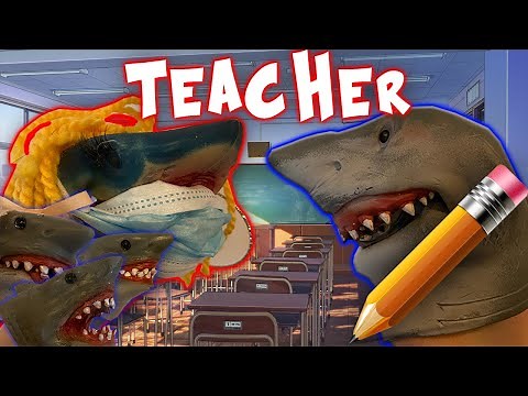 SHARK PUPPET THE TEACHER!!!!!