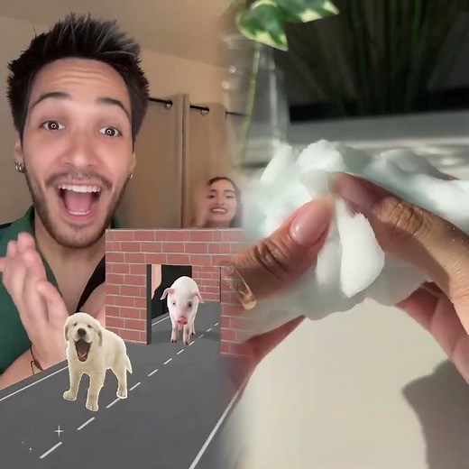 We make ANIMAL NOISES to win 🐄 🔊