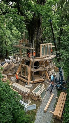 Building an Incredible Off-Grid Tree House | Full Build