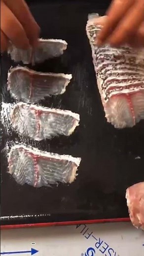 Video of Fish Fillet Machine