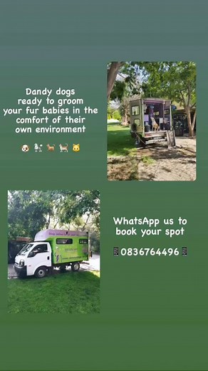 Dandy Dogs Mobile Grooming - WE COME TO YOU 🚐🧽✂️🐩🎀 📍 We cover JHB & PTA 📱 Call / WhatsApp us on : 🗓️0836764497 to secure your spot | Dandy Dogs