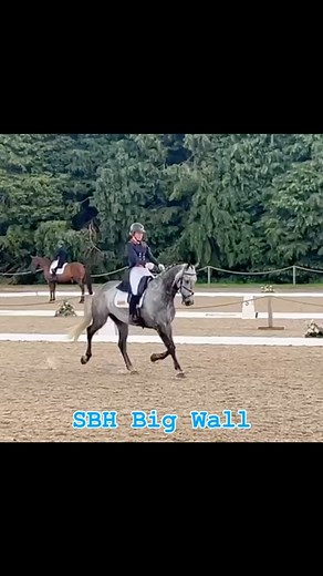 SBH Big Wall sits 3rd after dressage in 4* @bicton_arena. Very proud of how this gorgeous horse has progressed. | Izzy Taylor Eventing