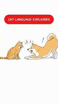 422S Cat Language Explained