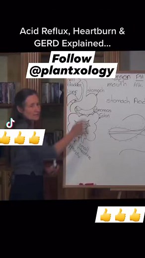 1M views · 14K reactions | Cause of Acid Reflux and heart burn problem #acidreflux #heartburn #heartburnrelief | Plantxology Bricklane | Facebook