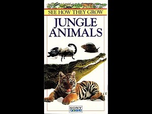 See How They Grow: Jungle Animals (Promotional Copy)