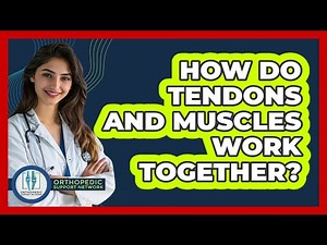 How Do Tendons And Muscles Work Together?