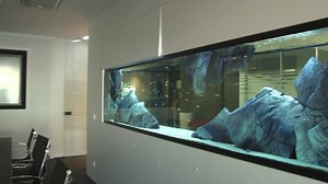 33K views · 725 reactions | Our room divider | Aquadecor | Facebook