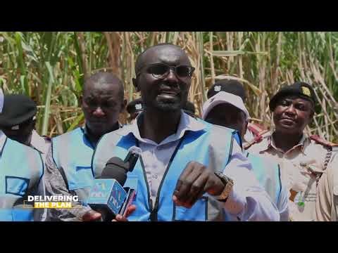 Kenya's New Sugarcane Frontier: Bura Irrigation Scheme
