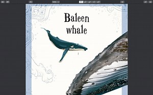 DK令人惊奇的动物讲解1-座头鲸