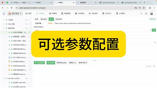 最佳实践04-可选参数、多个参数配置