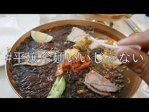 【北朝鮮】平壌冷麺まとめ 世界一うまそうに食ってきた