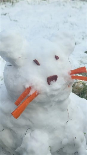 117K views · 2.7K reactions | We asked for a snowman… Tammy and Liz delivered a red panda masterpiece instead ⛄️ Safe to say the red pandas were pretty impressed. #repanda #cuteanimals #snowday #animallovers #snowsculpture | Peak Wildlife Park | Facebook