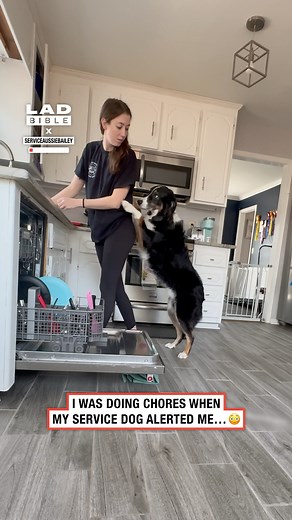 12M views · 281K reactions | My service dog can sense when I'm going to faint  | LADbible | Facebook