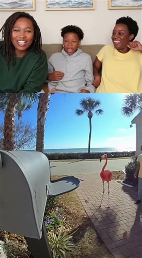 Flamingo Mail Delivery Dance!