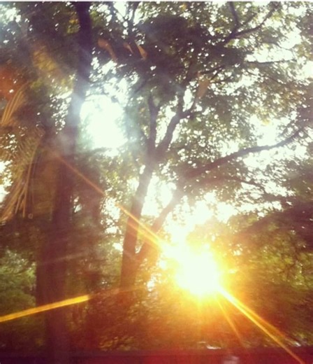 katniss drawing !!! i tried to draw her book accurate i actually can’t wait for sunrise on the reaping #katnisseverdeen #thehungergames #drawing #art #fyp