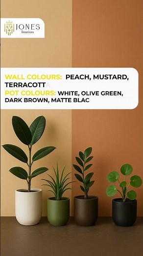 Perfect Wall & Plant Pot Combos to Elevate Your Home Décor | Indoor Plant Styling Tips