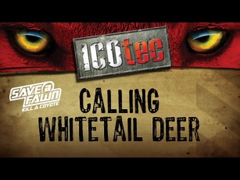 Calling In Trophy Bucks With Electronics