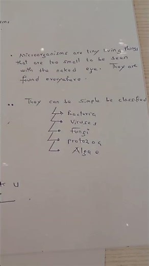 Microorganisms classification