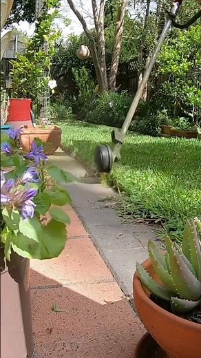 Edging Grassed Lawn - Stihl KM94 Line Trimmer #lawncare #garden #tools