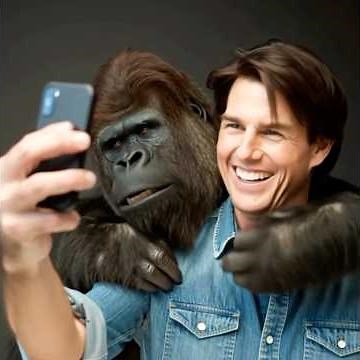 Tom Cruise's Pet Gorilla is the Wildest Hollywood Story Yet
