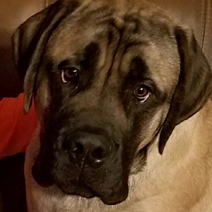 73K views · 1.3K reactions | Naked and Afraid and Nascar. | Hogan's Adventures | Facebook