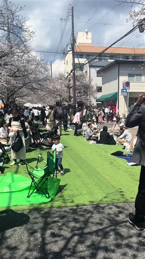 途中下車するか帰宅を急ぐか葛藤した末に…ついに痛みに耐えられなくなり私はとっさに隣に座っていた女性に助けをもとめました。「あの…」うまく説明できない私「様子おかしいね？一緒におりよっか」と次の駅で一緒に降りてくれた女性。それ以外にも自分のマフラーを下に引いて寝転びますか？と言ってくれたり水を買ってから走ってきてくれたり。そうこうしてるうちに吐き気をもようす私。それに気づき「はきそう？ねころばないほうがいいよ！」と体を支えてくれる女性。（後で知りましたが異様な頭の痛み＋吐き気は危険フラグみたいです。）救急車をよんでくれて救急隊の人が到着するまで駅のホームで付き添ってくれた心優しい方々のおかけで、今私は楽しく幸せな毎日を送ってます。（最近お花見に行きました。） #くも膜下出血 #生還 #社会復帰 #猫のいる暮らし #大切な人たちとの毎日 #人助けた #人助けられ #感謝の気持ち #ありがとうが止まらない